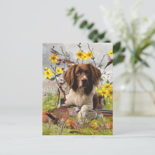 Spaniels "English Springer", Art Postkarte (Stehend Vorderseite)