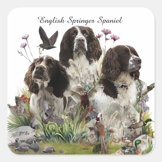 Spaniels "English Springer", Art Quadratischer Aufkleber (Vorderseite)