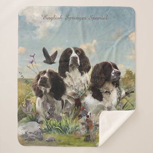 Spaniels "English Springer", Art Sherpadecke (Vorderseite)