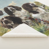 Spaniels "English Springer", Art Sherpadecke (3/4)
