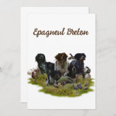 Spaniels in der Bretagne, Vogeljagd Einladung (Vorne/Hinten)
