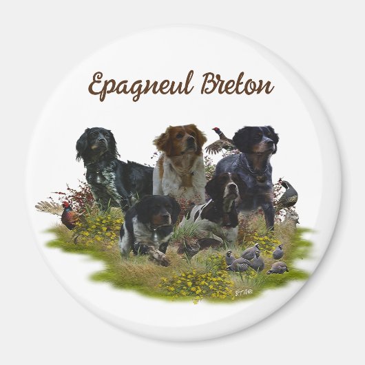 Spaniels in der Bretagne, Vogeljagd Magnet (Vorne)