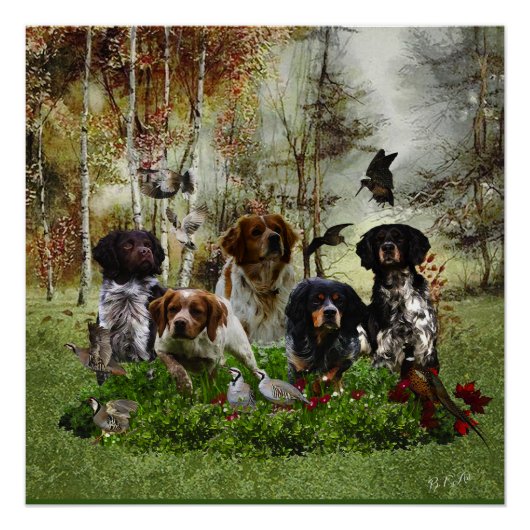 Spaniels in der Bretagne, Vogeljagd Poster (Vorderseite)