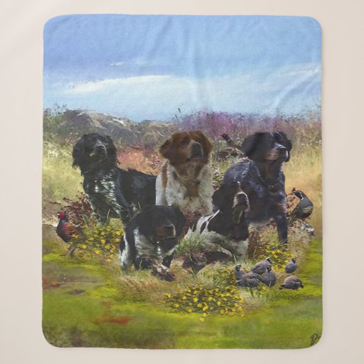 Spaniels in der Bretagne, Vogeljagd Sherpadecke (Vorderseite)