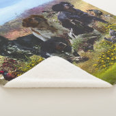 Spaniels in der Bretagne, Vogeljagd Sherpadecke (3/4)