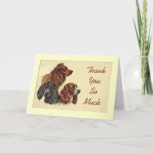 Spaniels Vielen Dank, dass Sie eine Karte haben