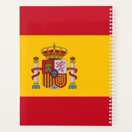 Spanien Flagge Planer (Rückseite)