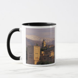 Spanien, Granada, Andalusien Die Alhambra, 2 Tasse
