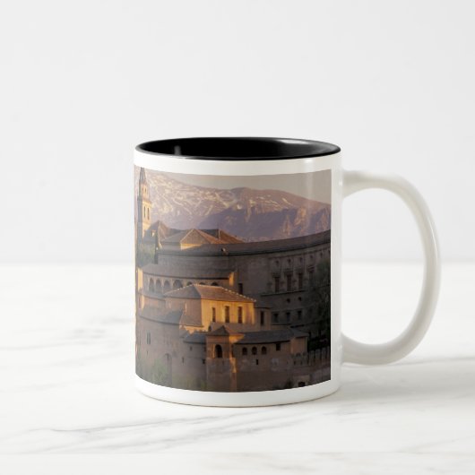 Spanien, Granada, Andalusien Die Alhambra, Zweifarbige Tasse (Rechts)