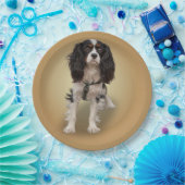 SPANIEN PAPPTELLER (Party)