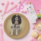 SPANIEN PAPPTELLER (Party)