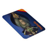 Spanien - Valencia - Magnet (Rechte Seite)