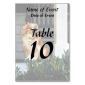 Spanisch auf Porch Tischnummer (Rückseite)