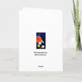 Spanisch: Das ist ein Mädchen! Una Niña! Ankündigung (Rückseite)