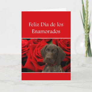 Spanisch Día Enamorados Glossy Grizzine Valentine Feiertagskarte
