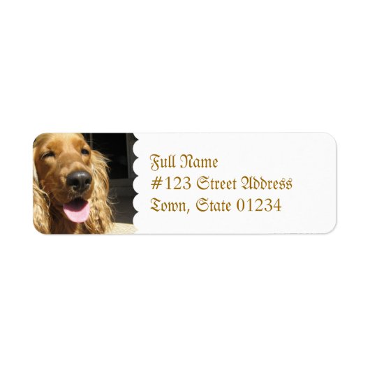 Spanisch Dog Mailing Label (Vorne)