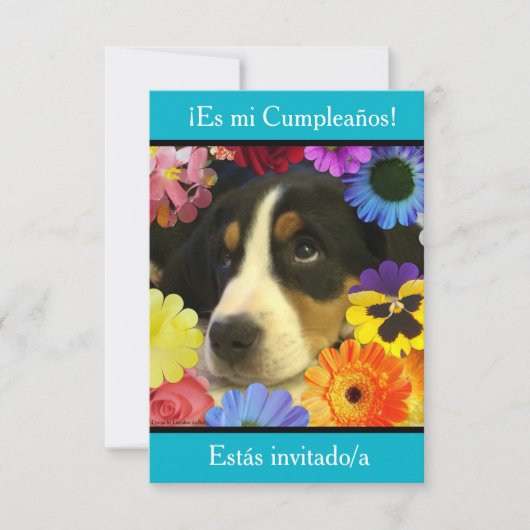 Spanisch: Fiesta de cumpleaños - Invitación Einladung (Vorderseite)