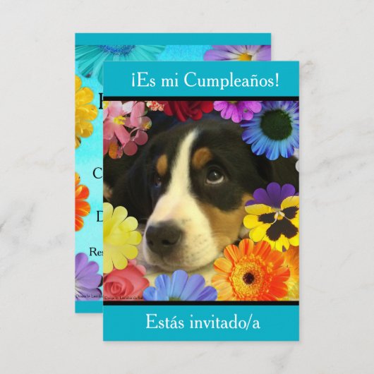 Spanisch: Fiesta de cumpleaños - Invitación Einladung (Vorne/Hinten)