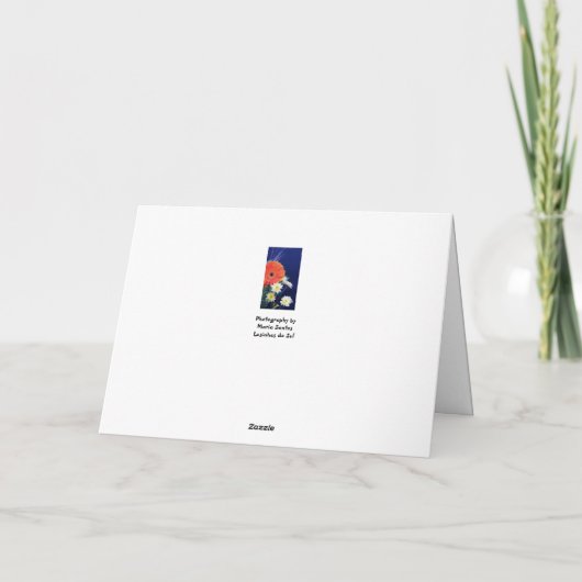 Spanisch: Halloween/Dia de Las Brujas Karte (Rückseite)