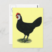 Spanisch:  Hen Postkarte (Vorne/Hinten)