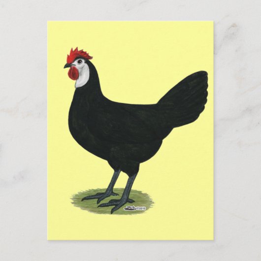 Spanisch:  Hen Postkarte (Vorderseite)