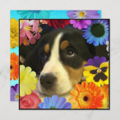 Spanisch: Invitación de Cumpleaños/Birthday Einladung (Vorne/Hinten)