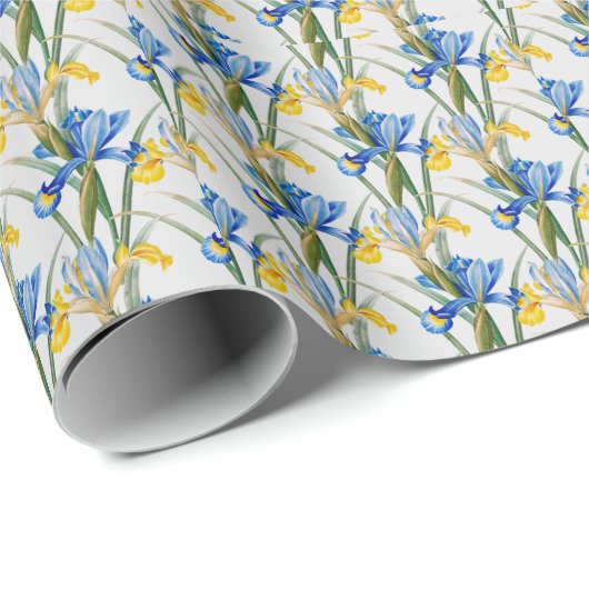 Spanisch Iris - Vintage botanische Wrap Geschenkpapier (Rolleneckpunkt)