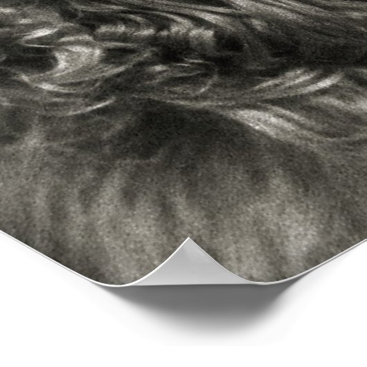 Spanisch mit dem Aussehen eines Cover Girls Poster (Ecke)