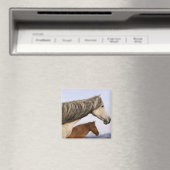 Spanisch Mustangs Magnet (In Situ (Geschirrspüler))