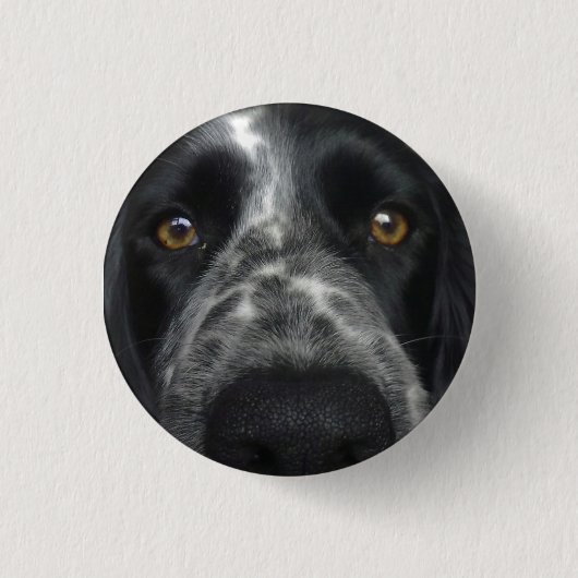 Spanisch nahes Abzeichen Button (Vorderseite)