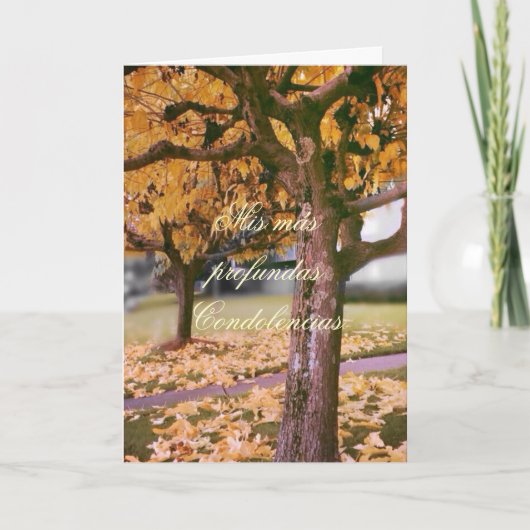Spanisch: Pesame/Beileid Karte (Vorderseite)