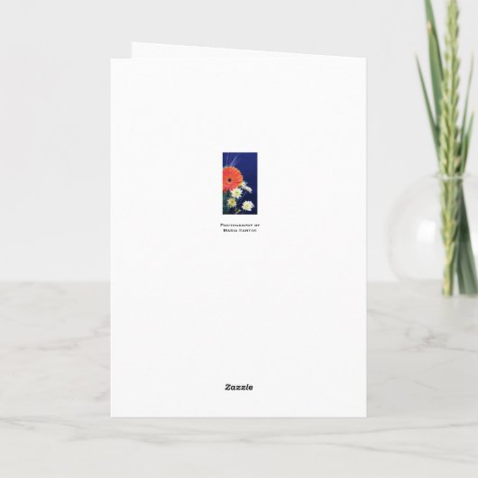 Spanisch: Pesame /Sympathy Karte (Rückseite)