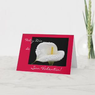 Spanisch: Valentinstag/Dia de San Valentin Feiertagskarte
