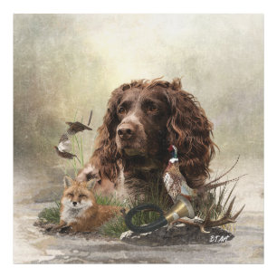 Spanisch, Wachtelhund Fotodruck