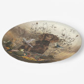 Spanisch, Wachtelhund Pappteller (Schrägansicht)