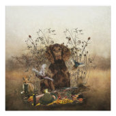 Spanisch, Wachtelhund Poster (Vorderseite)