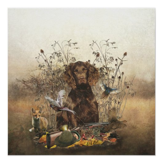 Spanisch, Wachtelhund Poster (Vorderseite)