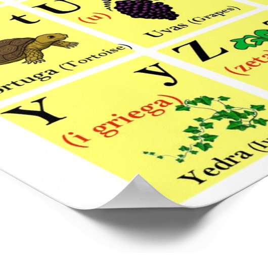 Spanische Alphabet Chart Poster (Ecke)