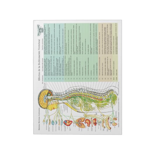 Spanische ANS Subluxation Effects reißen Pad Notizblock (Rotiert)