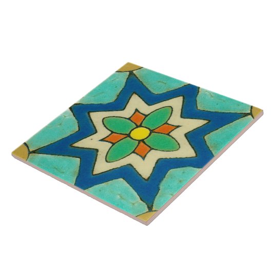 Spanische Blumen-Keramik-Foto-Fliese Fliese (Seite)