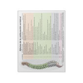 Spanische Effekte von Spinalsubluxation entreißen  Notizblock (Rotiert)