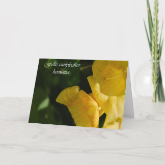 Spanische Geburtstags-Karte für Schwester Karte