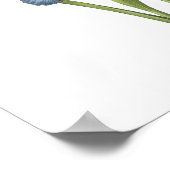 Spanische Iris (Iris xiphium) von Redouté Poster (Ecke)