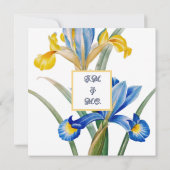 Spanische Iris von Pierre-Joseph Redouté Einladung (Rückseite)