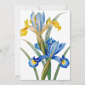 Spanische Iris von Pierre-Joseph Redouté Einladung (Rückseite)