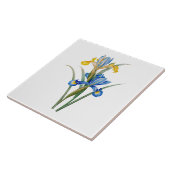 Spanische Iris von Pierre-Joseph Redouté Fliese (Seite)