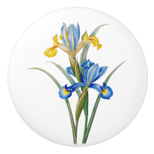 Spanische Iris von Pierre-Joseph Redouté Keramikknauf