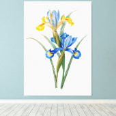 Spanische Iris von Pierre-Joseph Redouté Leinwanddruck (Insitu (Holzboden))