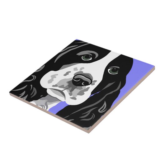 Spanische Kunst Fliese (Seite)