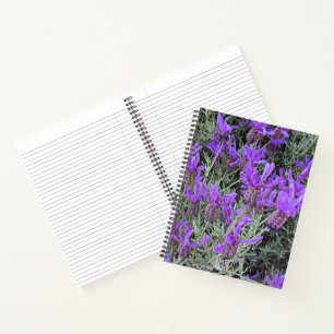 Spanische Lavendelblüten Floral Notizblock